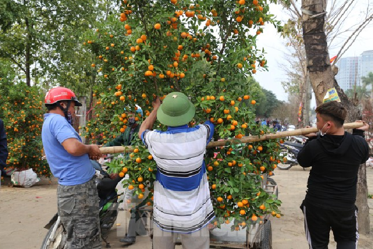 Cho thue quat, dao Tet tan nha kiem tien trieu moi ngay-Hinh-7