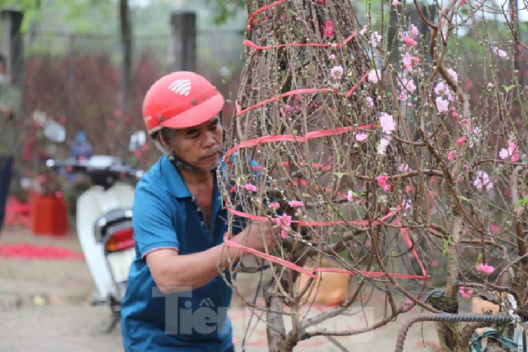 Cho thue quat, dao Tet tan nha kiem tien trieu moi ngay-Hinh-5
