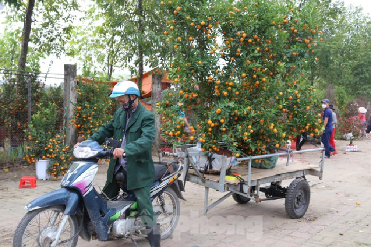 Cho thue quat, dao Tet tan nha kiem tien trieu moi ngay-Hinh-9