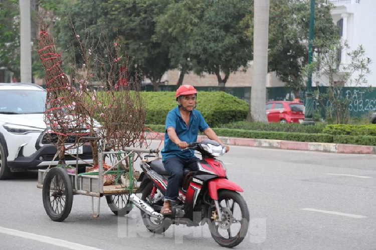 Cho thue quat, dao Tet tan nha kiem tien trieu moi ngay-Hinh-6