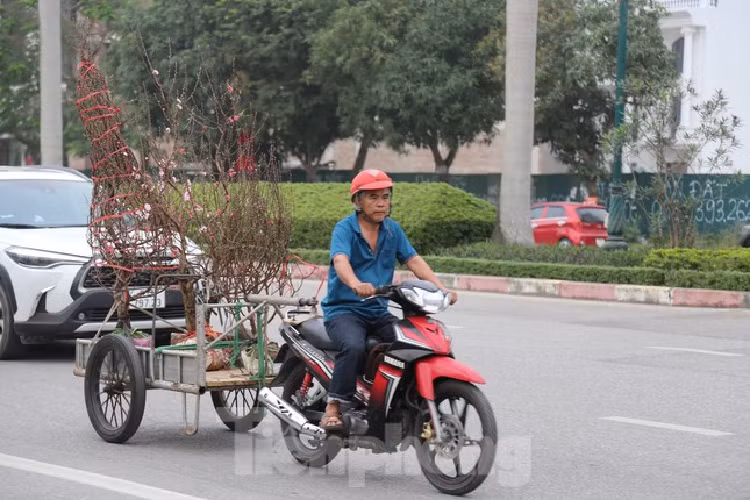 Cho thue quat, dao Tet tan nha kiem tien trieu moi ngay-Hinh-6