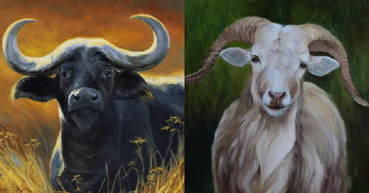 Tuổi Mùi và tuổi Sửu không phải hai con giáp nóng tính nhưng lại khó hóa hợp. Nguyên nhân là do họ không nói ra tâm sự trong lòng với đối phương mà âm thầm chịu đựng. Điều này khiến khoảng cách giữa họ ngày càng rộng hơn.