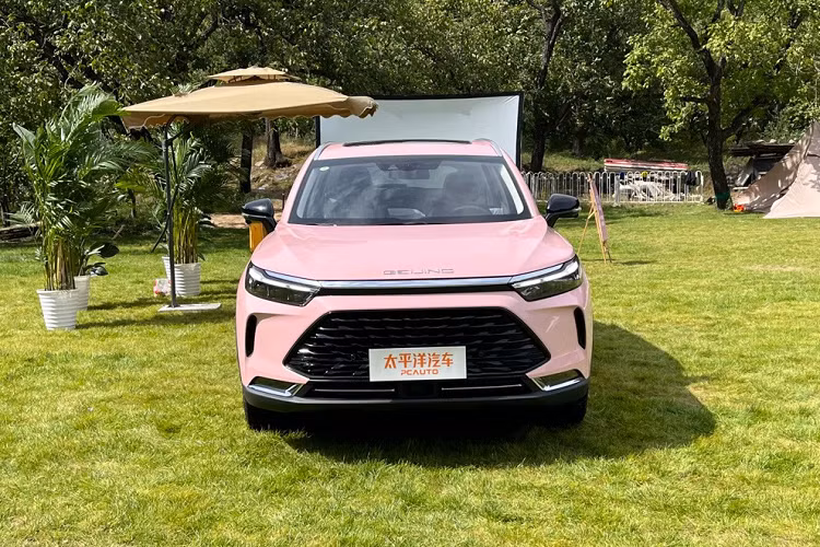 Bên ngoài, Beijing X7 Flatbed Homestay được trang bị lưới tản nhiệt hình lục giác cỡ lớn, hệ thống đèn pha LED, dải đèn LED định vị ban ngày, 2 nẹp mạ crôm trang trí trong hốc gió trung tâm, khe gió nằm dọc ở hai góc cản trước...