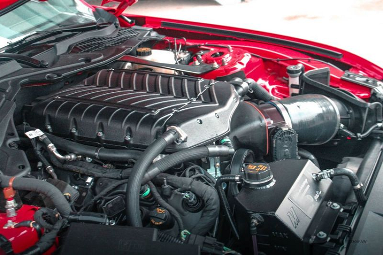 Hiện vẫn chưa rõ đại gia Trung Nguyên đã chi ra bao nhiêu tiền để sở hữu chiếc xe. Tại thời điểm mới về Việt Nam, nhiều thông tin cho rằng xe có giá lăn bánh trên 12 tỷ đồng và nó trở thành chiếc xe Ford Mustang đắt nhất hiện nay.