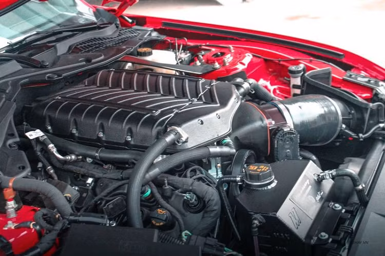 Hiện vẫn chưa rõ đại gia Trung Nguyên đã chi ra bao nhiêu tiền để sở hữu chiếc xe. Tại thời điểm mới về Việt Nam, nhiều thông tin cho rằng xe có giá lăn bánh trên 12 tỷ đồng và nó trở thành chiếc xe Ford Mustang đắt nhất hiện nay.