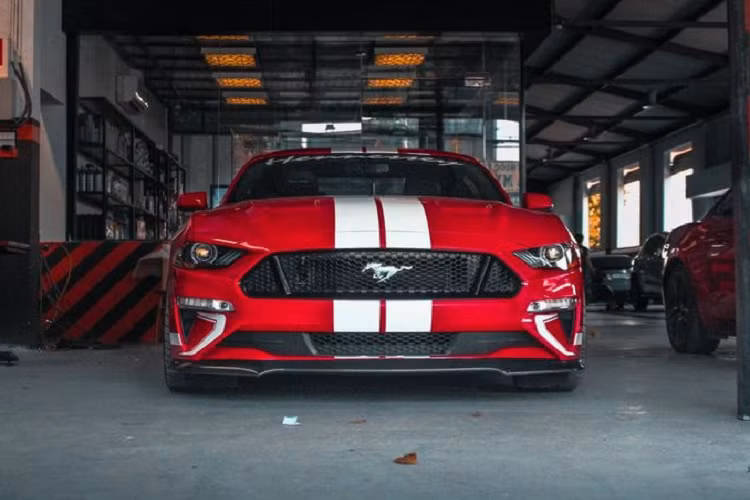 Ford Mustang Hennessey Heritage Edition Mustang lần đầu xuất hiện tại Việt Nam năm 2019 qua diện nhập khẩu không chính hãng, chủ nhân của xe khi đó đã nhanh chóng bán lại cho một người chuyên nhập khẩu siêu xe ở Hà Nội. Sau đó, không rõ chiếc xe đã thuộc sở hữu của ông Vũ từ khi nào.