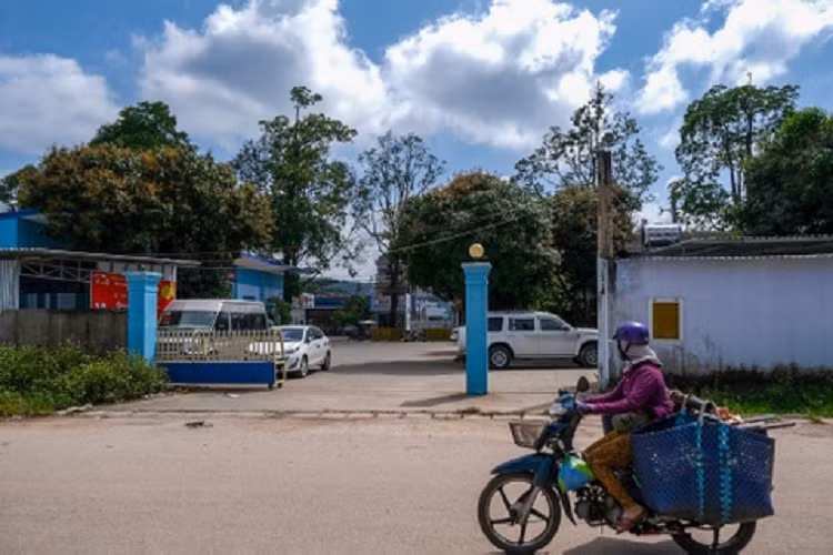 Khu đất này thuộc tổ 14, khu phố 4, phường Dương Đông, TP Phú Quốc. Nhiều năm qua, Công ty cổ phần xe buýt Phú Quốc chiếm dụng trái phép khu đất để làm bến xe buýt và một số hạng mục kinh doanh khác như: nhà điều hành, nhà bảo trì ôtô, căn tin và quán cà phê. 