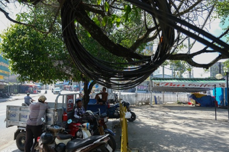 Khung cảnh nhếch nhác phía trước quàn cà phê do Công ty cổ phần xe buýt Phú Quốc xây dựng và kinh doanh trái phép trên phần đất của Nhà nước. Chiều 15/11, quán cà phê này vẫn hoạt động kinh doanh bình thường. Nhiều xe chở hàng dừng, đỗ trên khu đất do Công ty cổ phần xe buýt Phú Quốc chiếm dụng. Sáng nay 15/11, Sở Tài nguyên và Môi trường Kiên Giang đã có cuộc họp với lãnh đạo UBND TP Phú Quốc để trao đổi kế hoạch phối hợp chuẩn bị cưỡng chế đối với Công ty cổ phần xe buýt Phú Quốc vào sáng mai, 16/11.