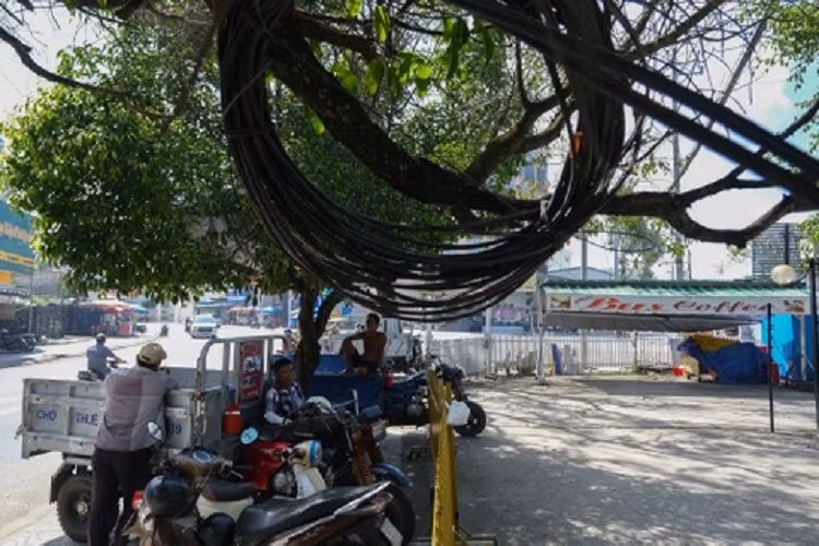 Khung cảnh nhếch nhác phía trước quàn cà phê do Công ty cổ phần xe buýt Phú Quốc xây dựng và kinh doanh trái phép trên phần đất của Nhà nước. Chiều 15/11, quán cà phê này vẫn hoạt động kinh doanh bình thường. Nhiều xe chở hàng dừng, đỗ trên khu đất do Công ty cổ phần xe buýt Phú Quốc chiếm dụng. Sáng nay 15/11, Sở Tài nguyên và Môi trường Kiên Giang đã có cuộc họp với lãnh đạo UBND TP Phú Quốc để trao đổi kế hoạch phối hợp chuẩn bị cưỡng chế đối với Công ty cổ phần xe buýt Phú Quốc vào sáng mai, 16/11.