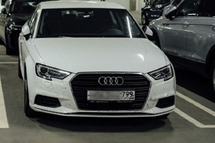 Trong khi đó, các du khách Nga cảm thấy thất vọng nếu không được du lịch châu Âu. "Ai cũng nên đi du lịch vì bạn sẽ trở nên yêu hòa bình hơn khi thấy các quốc gia khác sống yên bình như thế nào", anh Pavel Alekhin, vận động viên chuyên nghiệp của Nga, nói khi đang trên đường đến một Lễ hội xe đạp tại Basel.