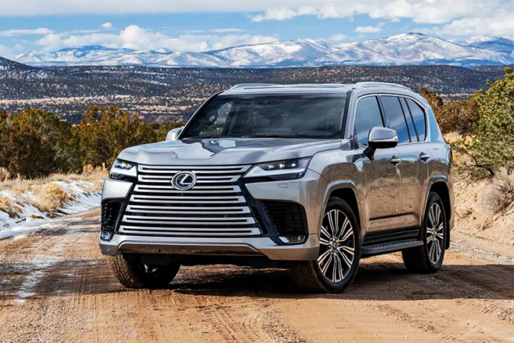 Thị trường ôtô Việt Nam trong năm 2021 chứng kiến sự xuất hiện của nhiều mẫu xe tiền tỷ nhập tư nhân chẳng hạn Toyota Land Cruiser LC300 bản Trung Đông, Cadillac Escalade 2021, Honda Civic Type R,.... Trong năm 2022, dự kiến Việt Nam còn đón nhận nhiều mẫu xe SUV hạng sang đời mới, đặc biệt là bán tải cỡ lớn.