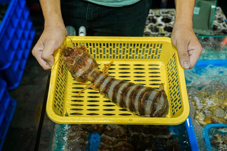 Be be chua “sieu to khong lo” gia hang trieu dong/kg van chay hang