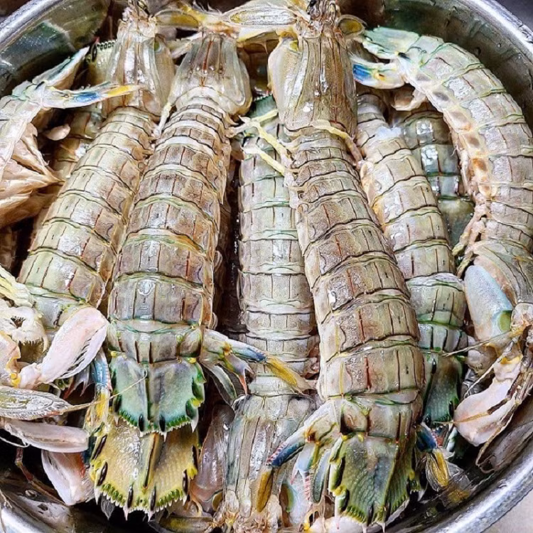 Be be chua “sieu to khong lo” gia hang trieu dong/kg van chay hang-Hinh-2