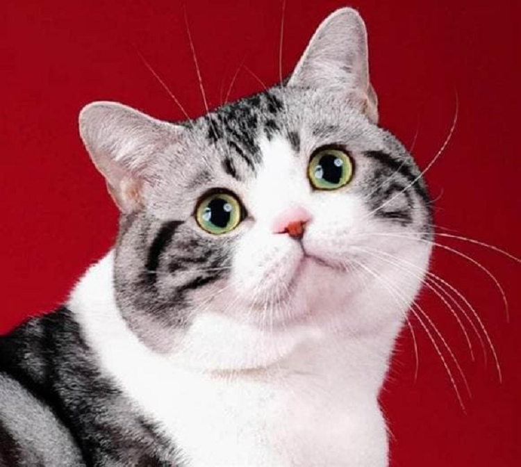 Cuối năm 2022, dự kiến sẽ phát tài và hợp tác với người thân hoặc bạn bè, hiệu quả rất tốt. (Bài viết mang tính chất tham khảo, chiêm nghiệm).