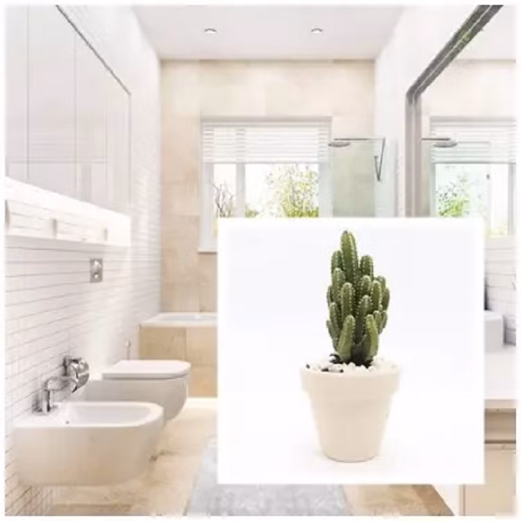 Gap han thi phi dung voi nan long, dung meo phong thuy xoa bay tai tieng-Hinh-3