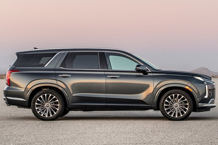 Palisade là một trong những mẫu xe đóng vai trò quan trọng đối với thương hiệu Hyundai. Trong năm 2021, hãng Hyundai đã bán được tổng cộng 86.539 chiếc Palisade cho khách hàng Mỹ, tăng 5% so với năm 2020. Nhờ đó, Palisade là mẫu xe bán chạy thứ 6 của hãng Hyundai ở thị trường Mỹ, sau Tucson (150.949 chiếc), Elantra (124.422 chiếc), Santa Fe (112.071 chiếc), Sonata (93.142 chiếc) và Kona (90.069 chiếc).