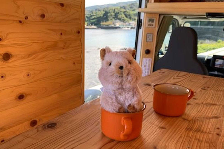 Vào ban đêm, chủ sở hữu có thể sử dụng phần sàn phẳng làm giường ngủ, và nó có kích thước 1.830 mm x 1.230 mm. Kích thước này nhỏ hơn một chút so với nệm cỡ lớn, vì vậy có thể gây khó chịu với những người có thân hình quá lớn.