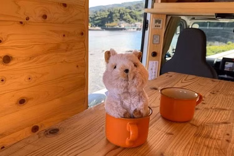 Vào ban đêm, chủ sở hữu có thể sử dụng phần sàn phẳng làm giường ngủ, và nó có kích thước 1.830 mm x 1.230 mm. Kích thước này nhỏ hơn một chút so với nệm cỡ lớn, vì vậy có thể gây khó chịu với những người có thân hình quá lớn.