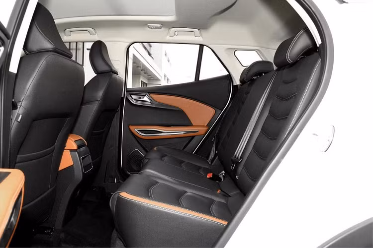 Theo một số nguồn tin, Zotye đã thiết lập trung tâm Nghiên cứu và Phát triển ở các thành phố Hàng Châu, Thượng Hải, Quảng Châu cũng như Thâm Quyến. Bên cạnh đó, Zotye còn phát triển 3 cơ sở gầm bệ dành cho xe năng lượng mới là i-AFA, i-BFA và i-LFA. Vào thời điểm hiện tại, T300L là mẫu xe mới duy nhất mà Zotye đang phân phối tại thị trường nội địa.