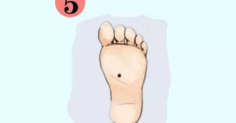 Hơn nữa, khả năng kiềm chế của họ tương đối mạnh, được mọi người săn đón, uy tín cao, địa vị xã hội không hề thấp. 