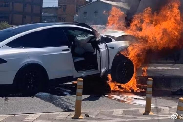 Lam Chi Dinh va con trai gap nan tren Tesla Model X chay dien?