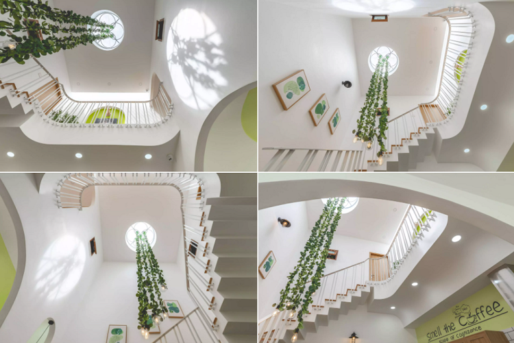 Nhà tràn ngập ánh sáng tự nhiên nhờ giếng trời. Giếng trời nằm bên trên cầu thang, có hình dạng tròn kết hợp với đèn thả dây leo tăng thêm yếu tố tự nhiên cho không gian xung quanh. 