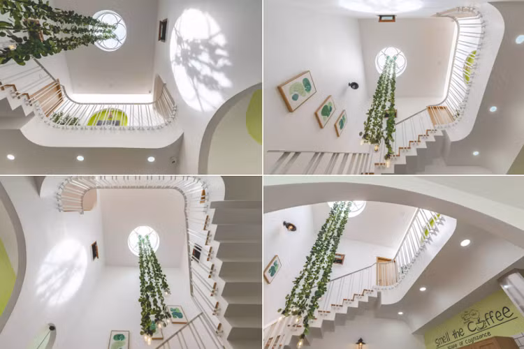 Nhà tràn ngập ánh sáng tự nhiên nhờ giếng trời. Giếng trời nằm bên trên cầu thang, có hình dạng tròn kết hợp với đèn thả dây leo tăng thêm yếu tố tự nhiên cho không gian xung quanh. 