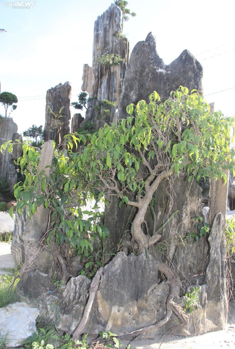 Nhung tuyet pham bang da gia hang tram trieu dong-Hinh-5