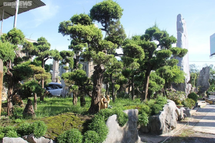 Nhung tuyet pham bang da gia hang tram trieu dong-Hinh-15