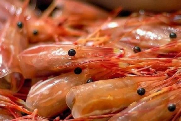 Nhung bo phan 'cuc doc' cua tom chua day ky sinh trung