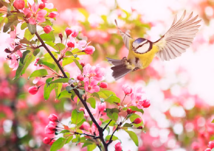 Don nam moi Nham Dan, 4 con giap giau co, hanh phuc