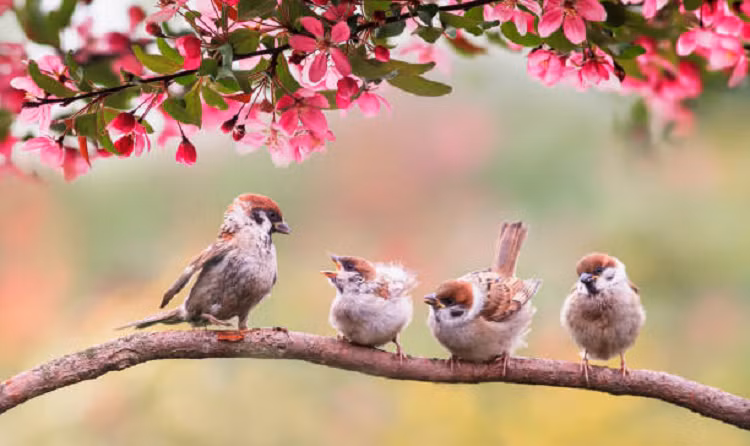 Don nam moi Nham Dan, 4 con giap giau co, hanh phuc-Hinh-4