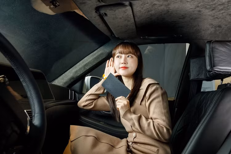 LG TASS - giai phap “loa vo hinh” doc dao cho xe hoi-Hinh-2