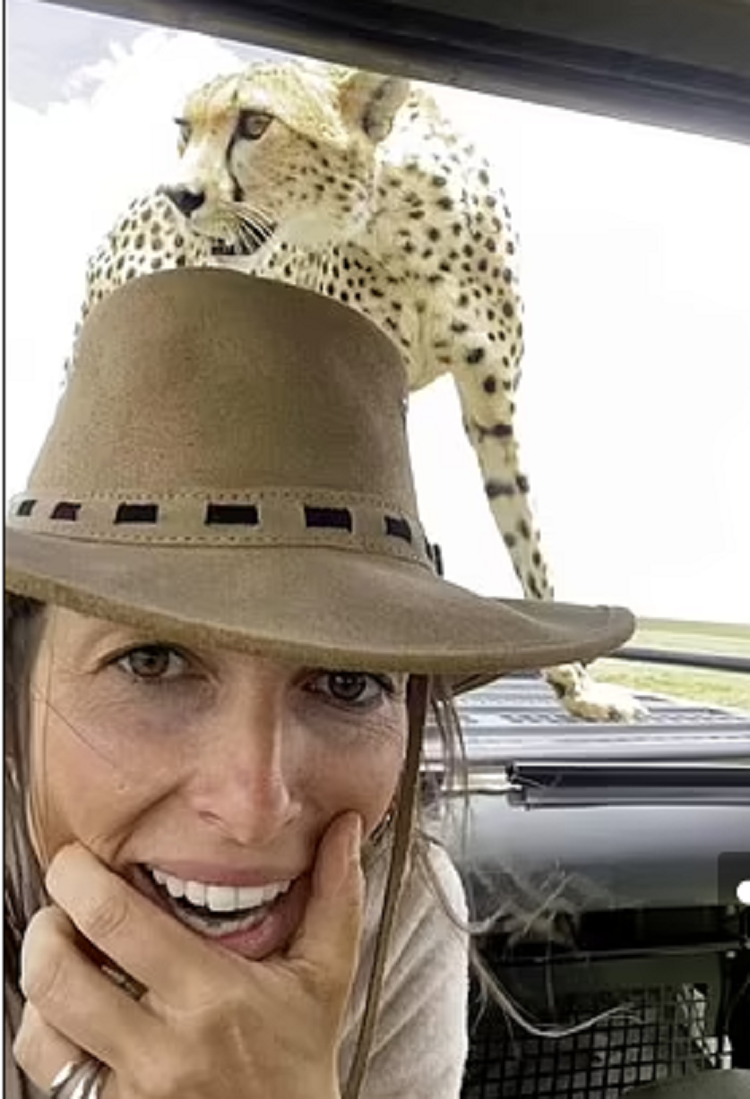 Bat ngo cham tran bao gepa khi di tham vuon quoc gia Tanzania-Hinh-3