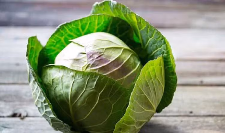 6 loai thuc pham la “nguoi ban tot” cua da day