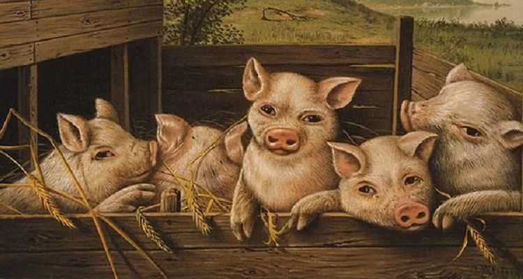 Tuổi Hợi. Những người tuổi Hợi có cơ hội thay đổi cuộc đời mình khi bước vào tháng 5 âm.