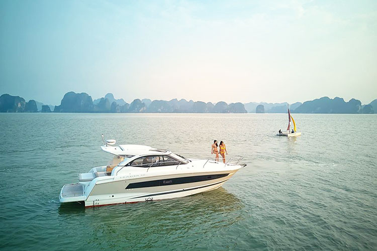 Công ty đấu giá hợp danh Minh Pháp cho biết, phương tiện thuỷ nội địa mang tên siêu du thuyền FLC Albatross, số đăng ký HN – 2014 do Sở giao thông vận tải thành phố Hà Nội cấp ngày 15/11/2018, chủ phương tiện là công ty cổ phần tập đoàn FLC, năm đóng là 2017 tại Ba Lan.