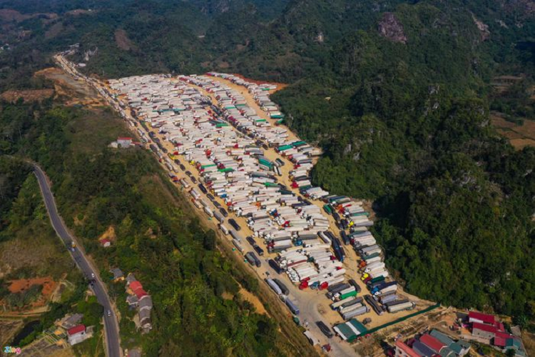 'Giai cuu' thanh long, mit, cam, buoi... den bao gio?-Hinh-2