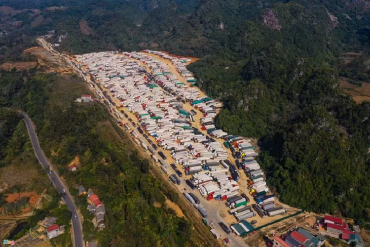 'Giai cuu' thanh long, mit, cam, buoi... den bao gio?-Hinh-2