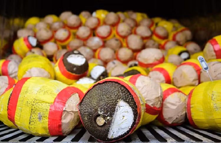 'Giai cuu' thanh long, mit, cam, buoi... den bao gio?-Hinh-4