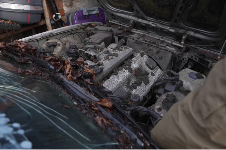 Ngoài ra, khu vườn còn có một chiếc Porsche 924, hai chiếc Mazda MX-5 Miata, một cặp sedan BMW 3 Series thế hệ E30, một chiếc Lancia Delta, một chiếc Fiat 124 Spider, và một chiếc Mercedes-Benz 190E.