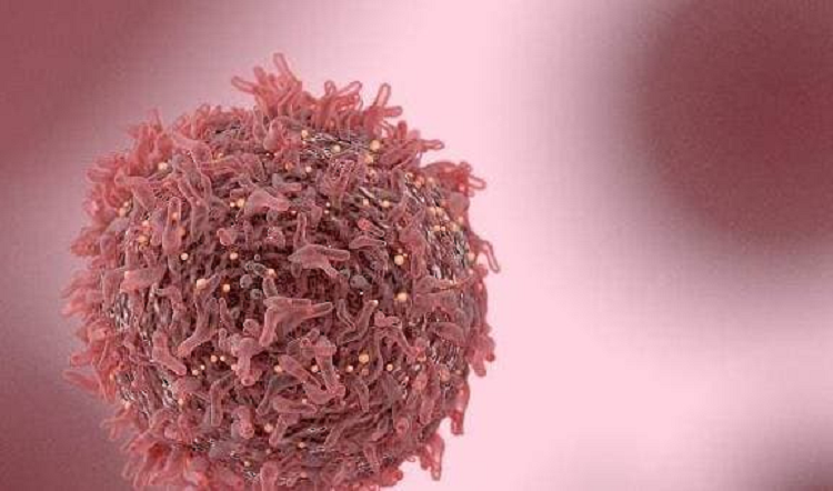 3 loai thuc pham co tinh kiem la 'ke thu cua ung thu'