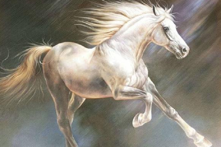 Tuổi Ngọ. Ngọ chính là con giáp thông minh, lanh lợi, biết tự mình nhìn nhận vấn đề một cách khách quan và tự tìm kiếm cơ hội để xây dựng cuộc sống thăng hoa viên mãn.