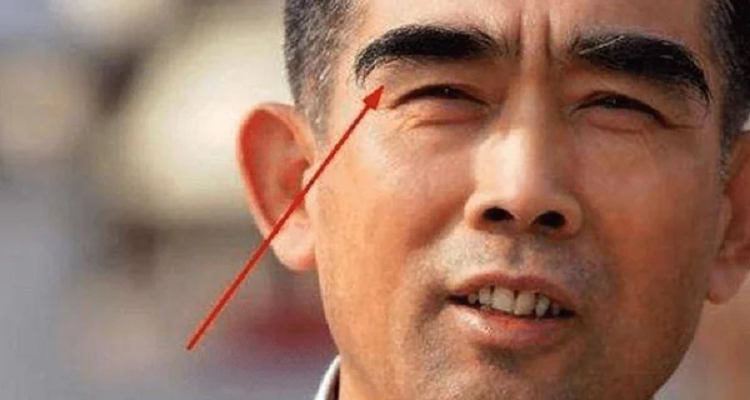 Cổ nhân dạy: '30 lông dài thì 40 đột tử, 50 lông mọc là trường thọ' Co nhan day: '30 long dai thi 40 dot tu, 50 long moc la truong tho'