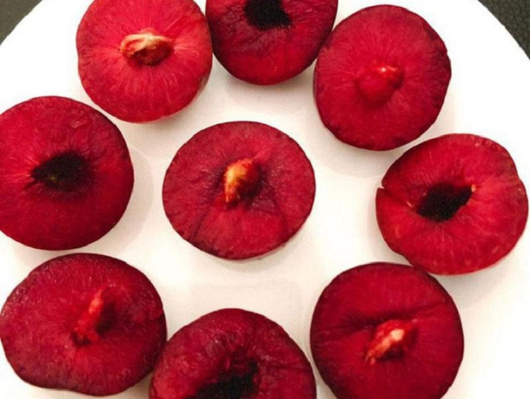 Chi trong mot noi duy nhat man ‘cherry Viet Nam' sieu dat khach-Hinh-2