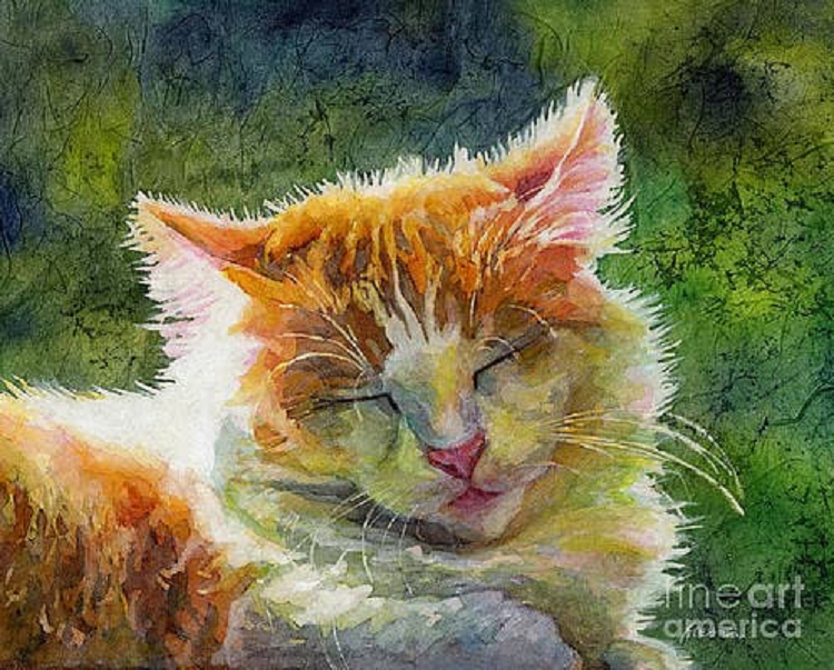 Nua cuoi thang 6 duong lich, top 3 con giap duoc Than Tai theo got