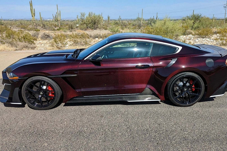 Khách hàng cũng có thể tùy chọn màu sơn cho phần thân xe carbon và thương hiệu cũng đồng thời sẽ trang bị thêm cho các tấm thân xe môt lớp phủ bóng bền bỉ hơn. Thương hiệu cũng đưa ra tùy chọn nâng cấp về mặt hiệu năng và công suất cho xe.