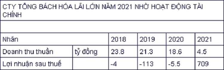 Dinh chi don vi kiem toan cong ty thanh vien Tan Hoang Minh-Hinh-2