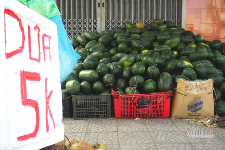 Dua hau 5 nghin, thanh long 8 nghin: Phoi nang via he cho giai cuu-Hinh-4