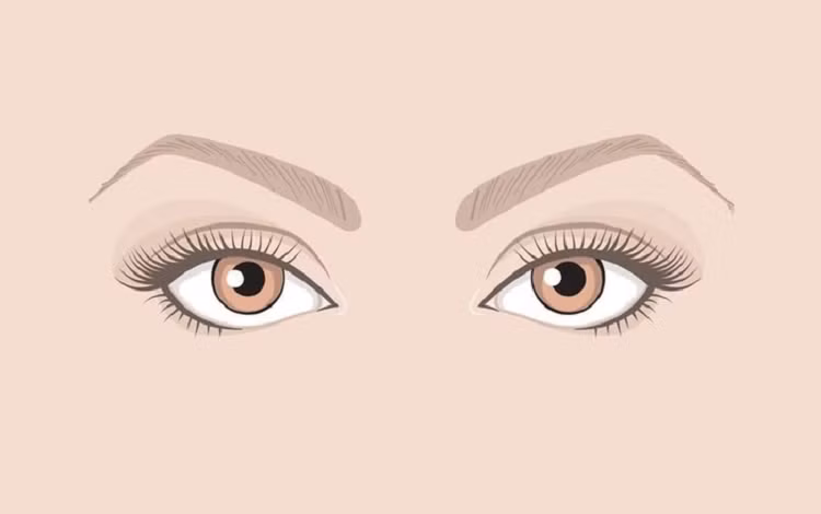 Mắt tam bạch. Mắt tam bạch hay còn gọi là mắt ba tròng với tròng trắng nhiều hơn tròng đen. Người có kiểu mắt này có dã tâm lớn, trực giác nhạy bén nhưng lúc nào cũng muốn giỏi hơn người, nên khó kết giao bằng hữu.